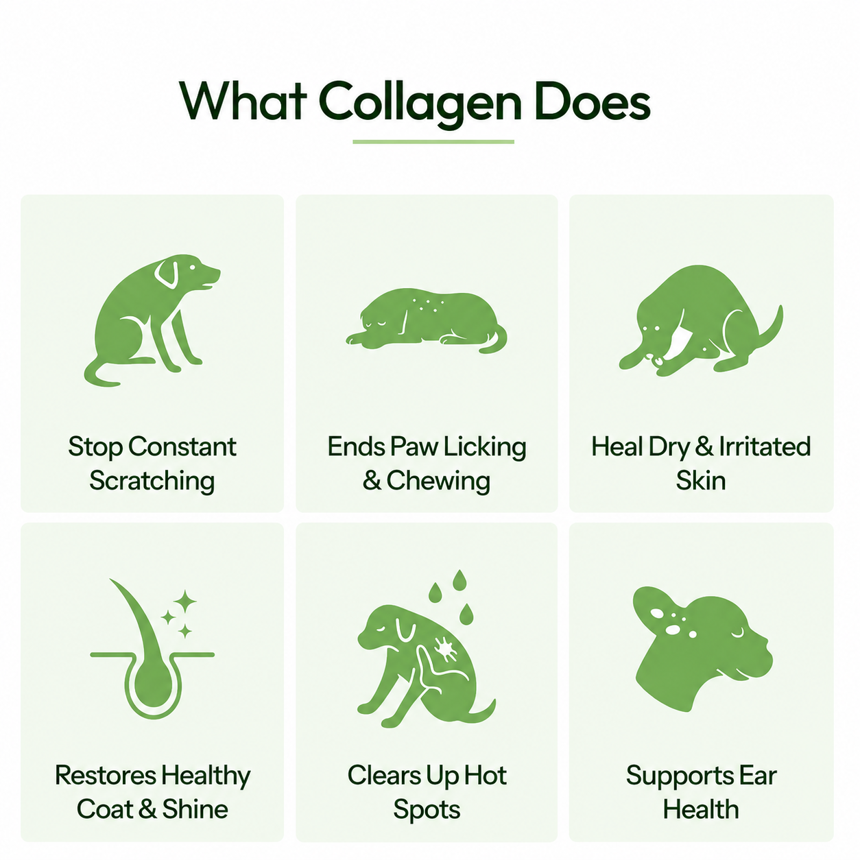 Wellnest® Premium Liquid Collagen