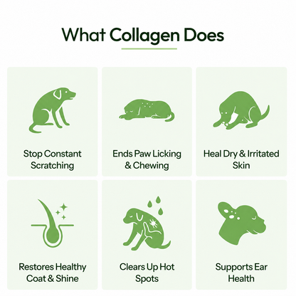 Wellnest® Premium Liquid Collagen