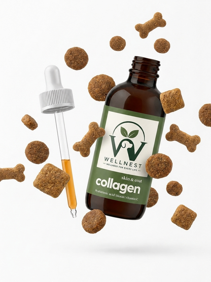 Wellnest® Premium Liquid Collagen