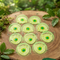 WellNest Mosquito Repellent Patches — Plant-Powered, DEET-Free