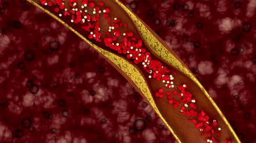 How Cayenne Supports Healthy Circulation
